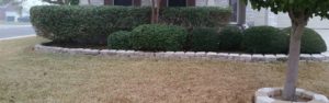 New Braunfels Landscaping Services