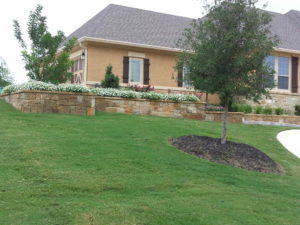 Lawn & Landscaping Maintenance - New Braunfels, Texas