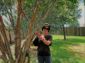 Tree Services in New Braunfels, Texas